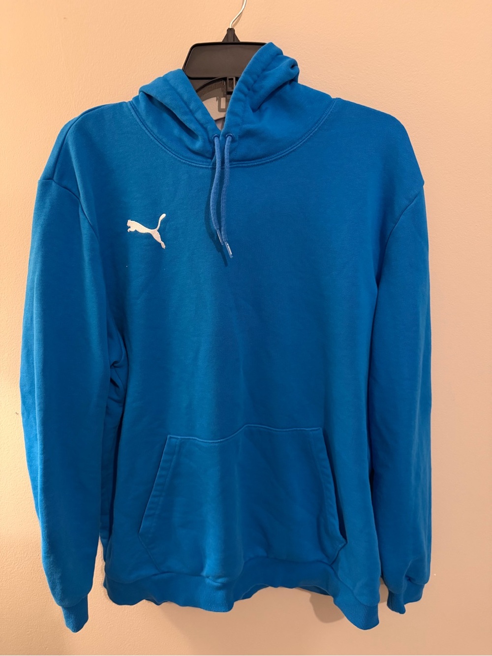 Puma Bright Blue Hooded Pullover Sweatshirt